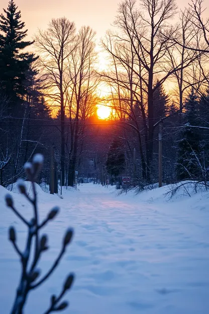 Images de bon matin froid : images de bon matin froid