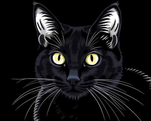 Images de chats noirs à colorier pour adultes