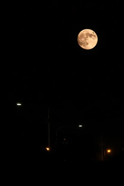 Images de nuit rêveuses avec l'éclairage doux de la lune