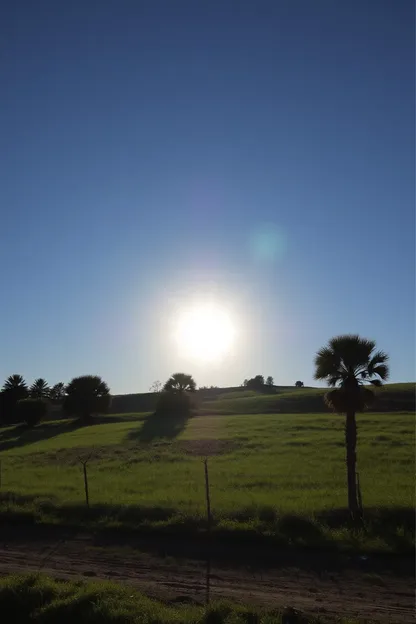 Images du Soleil Matinal avec Message de Bonjour