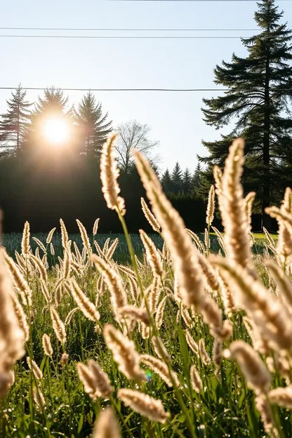 Images du samedi matin Bonne matin : séance photo du samedi