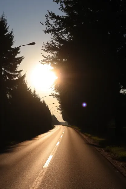 Images du soleil brillant pour un bon matin