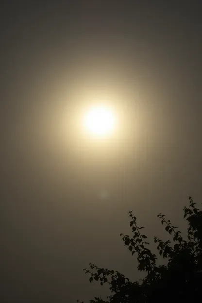 Images du soleil levant pour un bon matin : Images du soleil levant pour un bon matin quotidien