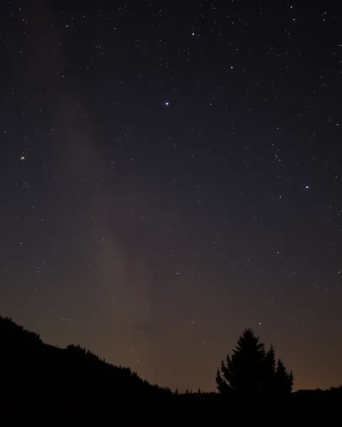 L'art de tatouage du ciel nocturne révélé