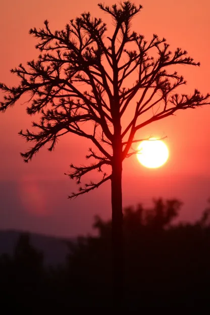 Le Soleil Levant sur l'Horizon de Bon Matin