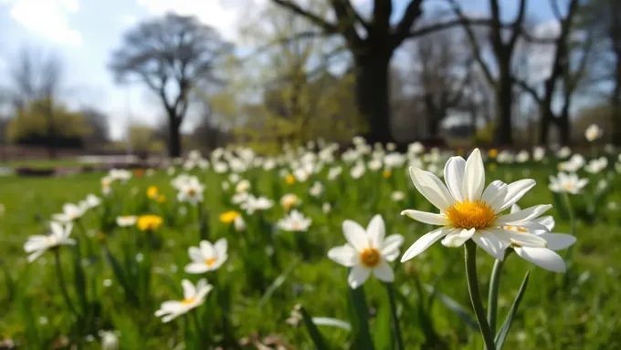 Le premier jour du printemps 2025 se déroule