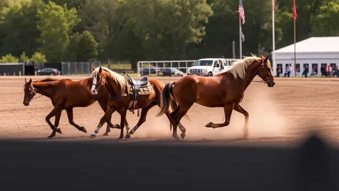 Lineup 2025 des Chevaux Rapides : des ajouts thrillants révélés