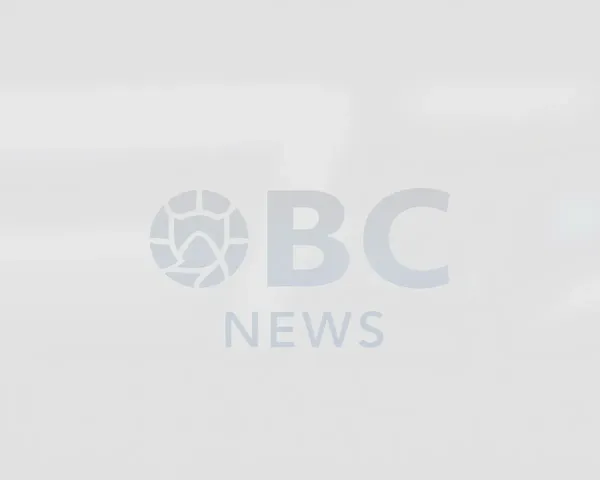 Logo de BBC News transparent blanc PNG 2022 icône