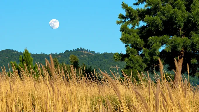 Nouvelle Lune en Cancer en juillet 2025 Éclipse lunaire