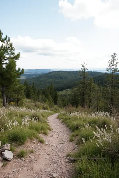 Parc d'État de la Terre Bonne : vues pittoresques de la côte