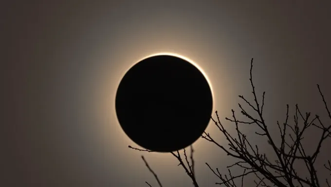 Photo de l'éclipse solaire 2025 à couper le souffle qui fait son tour sur les réseaux sociaux