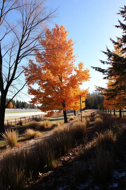 Photos d'Automne pour un Bon Matin