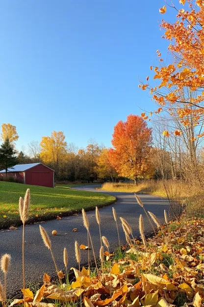 Plus d'images du matin d'automne pour un jour ensoleillé