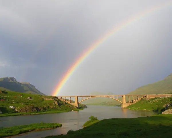 Pont Arc-en-Ciel Whimsical pour Chats