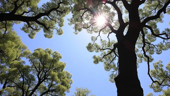 Quand est la Journée de l'Arbre 2025, jour férié