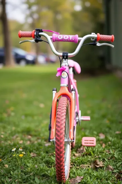 Vélo de 20 pouces pour les filles pour une expérience de conduite facile