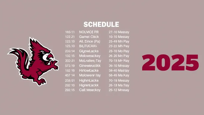 2025 Gamecock Football Schedule and News