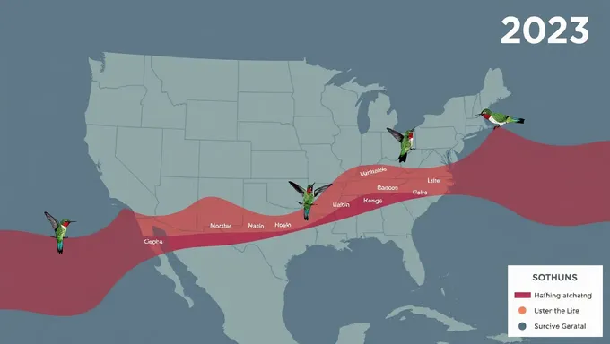 2025 Hummingbird Migration Map for Birdwatchers