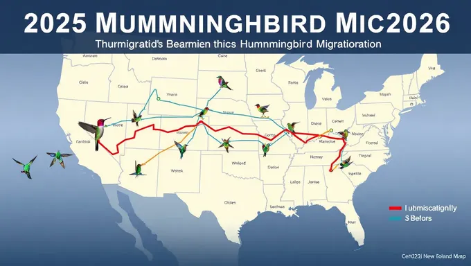 2025 Hummingbird Migration Patterns to be Studied