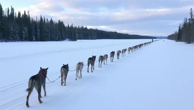 2025 Iditarod Standings and Results