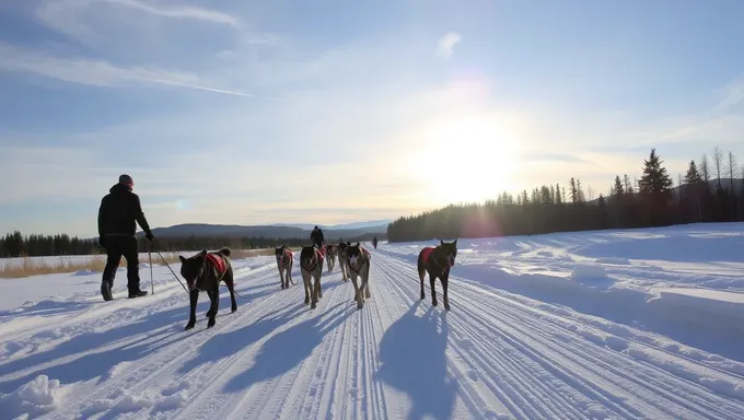 2025 Iditarod Standings: A Look Ahead