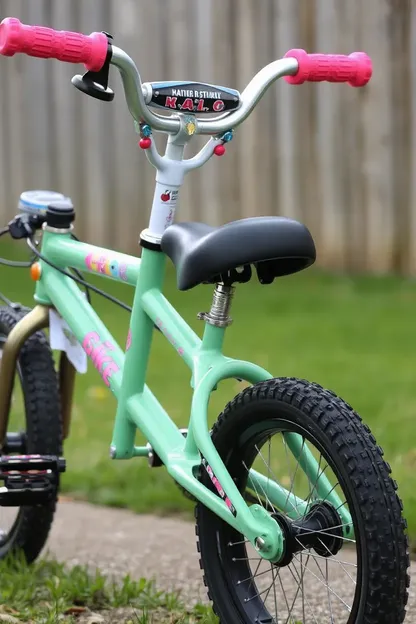 24 Inch Girls Bike for Young Riders