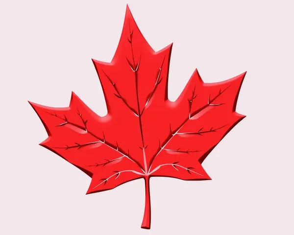 A Beautiful Picture of Maple Leaf 🍁