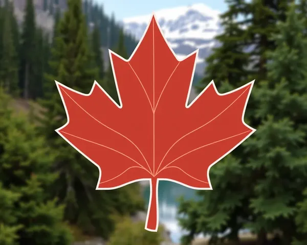 A Photo of Maple Leaf PNG Emoji