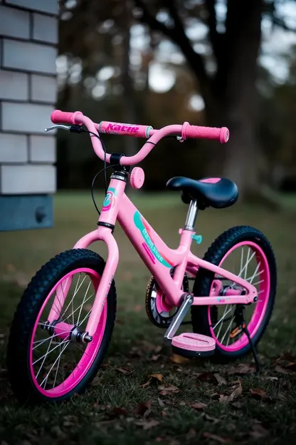 Another Sixteen Inch Girls Bike Appears