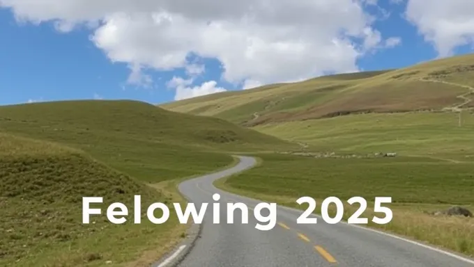 Assistir Following 2025: Expert Analysis and Insights