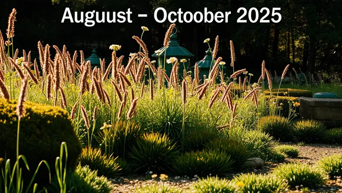 August to October 2025: Same Period Mentioned