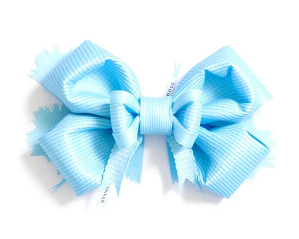 Baby Blue Bow PNG Free Image