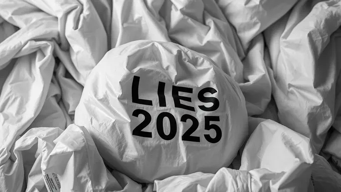 Bag of Lies 2025: A Year of Deception