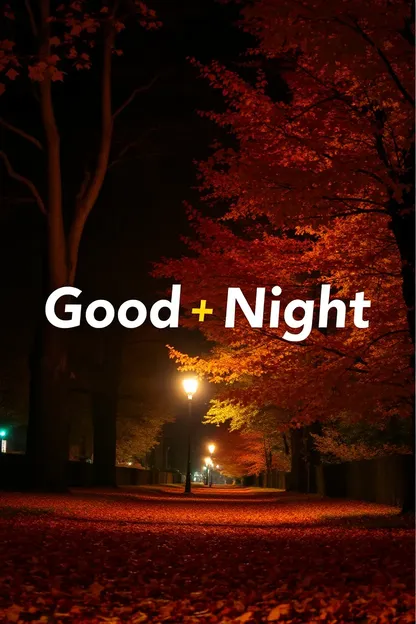 Beautiful Autumn Night Time Photo Gallery