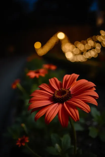 Beautiful Good Night Flower Images Wallpaper