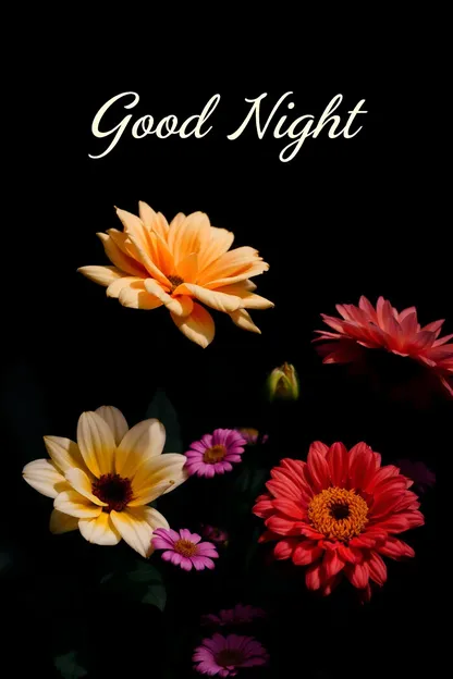 Beautiful Good Night Images with Flowers Bloom