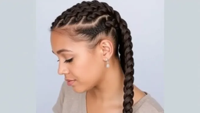 Braids Hairstyles 2025: Braids for Everyday Wear