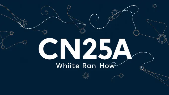 Cnsa White Paper 2025: Action Plan