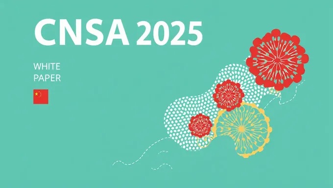 Cnsa White Paper 2025: Key Findings