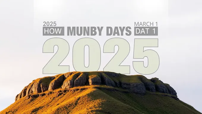 Countdown to March 1, 2025: Days Remaining