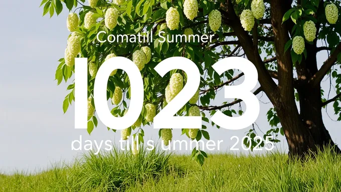 Countdown to Summer 2025: How Many Days Left