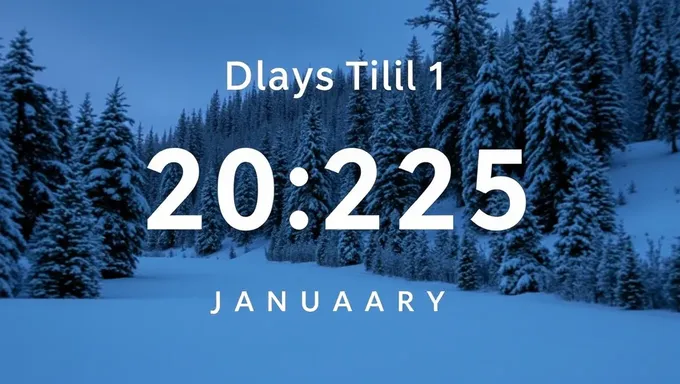 Counting Down to New Year's Day 2025