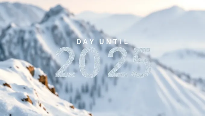 Days Until January 20, 2025 Countdown