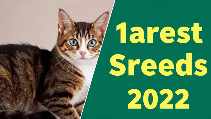 Discover the Rarest Cat Breeds in 2025