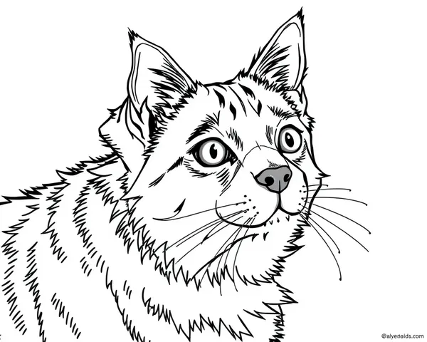 Dog and Cat Coloring Pictures Fun