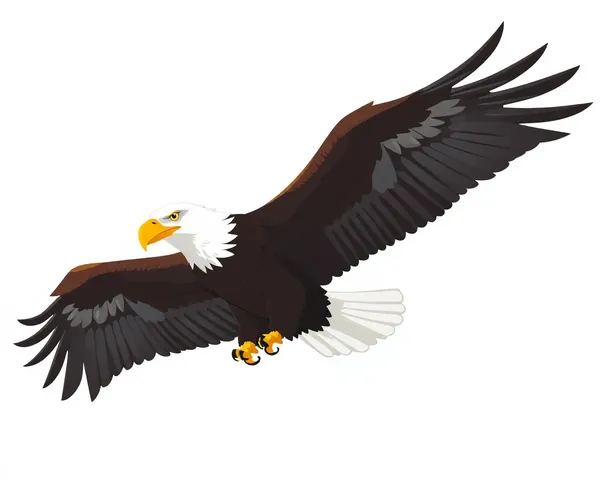 Eagle Png Wallpaper for Desktop Background