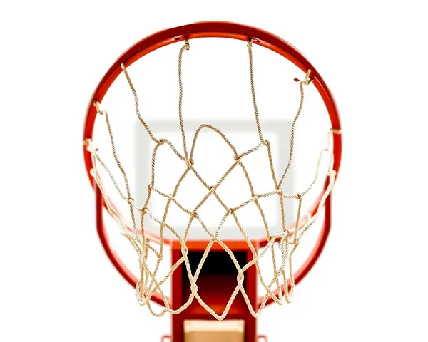 Free Basketball Hoop PNG Download