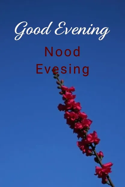 Friday Night's Good Evening Blessings Image Gallery