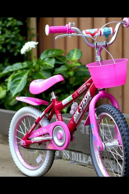 Girls' 24 Inch Bike for Learning Skills