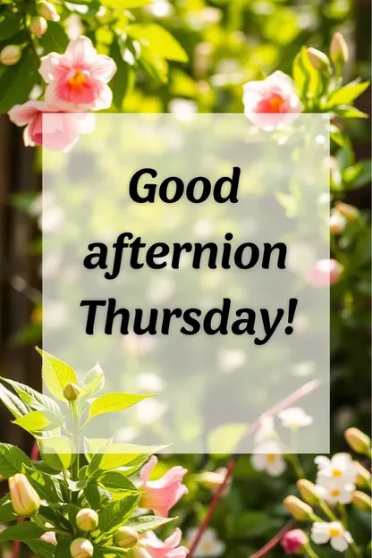 Good Afternoon Thursday Images for Beautiful Scenes